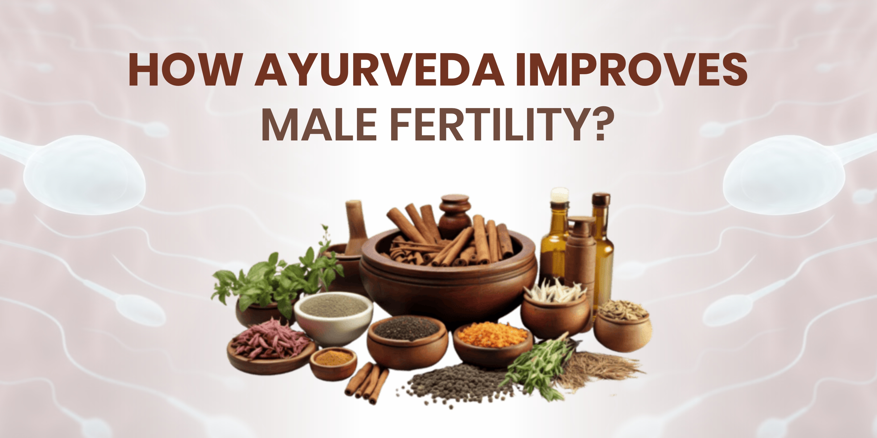 This image represents Ayurvedic herbs and natural remedies used to improve male fertility and sperm health. Ayurveda focuses on balancing the body, enhancing sperm count, motility, and overall reproductive wellness through herbal treatments, diet, and lifestyle changes. It highlights a holistic approach to treating male infertility naturally.