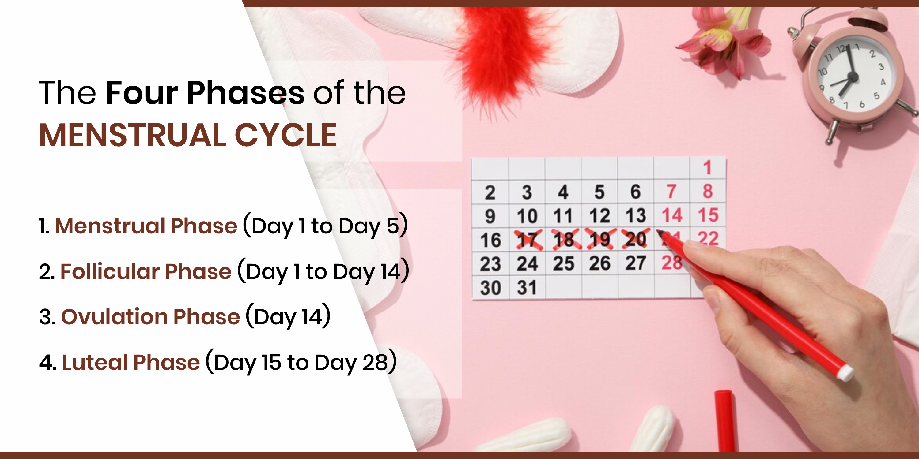 How Menstrual Cycle Phases Affect Your Health and Sex Life?